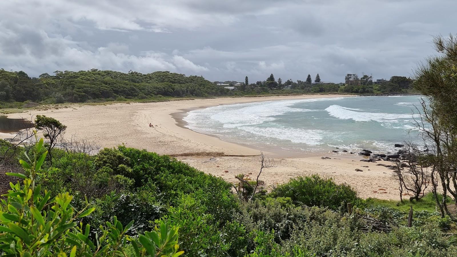 Sandee Gannet Beach Photo