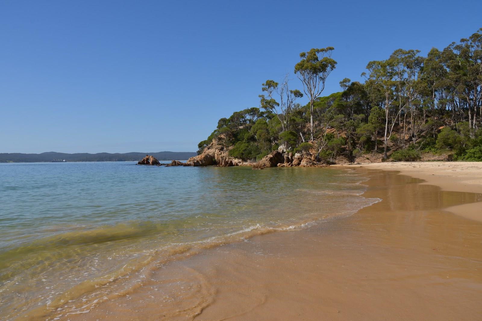 Sandee Cocora Beach Photo