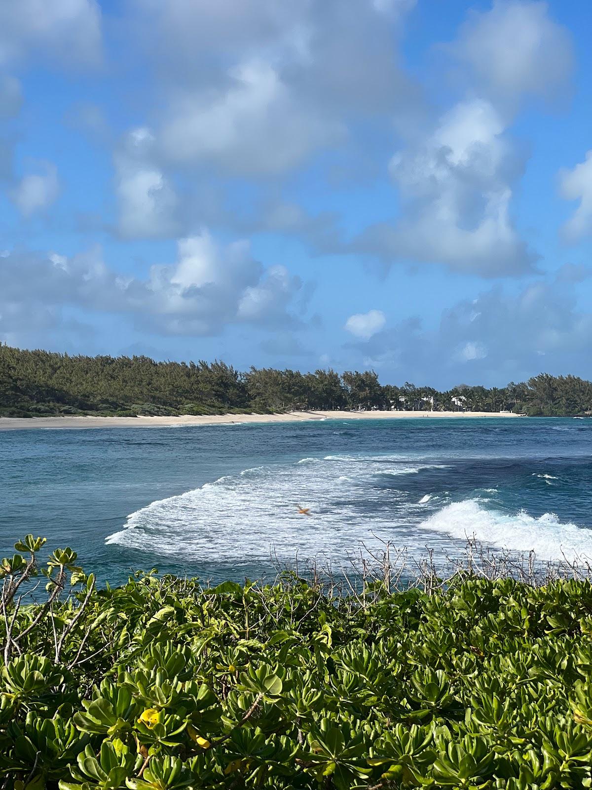 Sandee - La Cambuse Beach