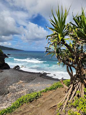 Sandee - Pepeiaolepo Bay