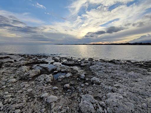 Sandee Microbiolits Stromatolits Ancient Beach Photo