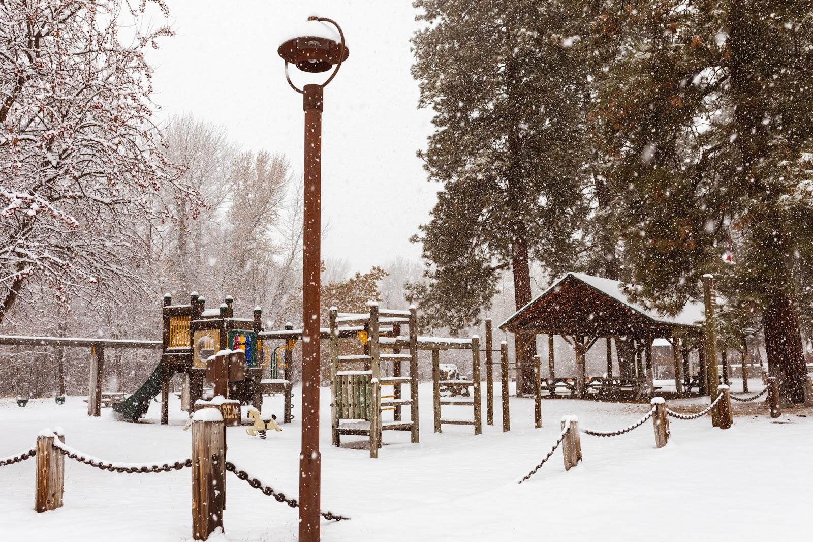 Sandee Mack Lloyd Park