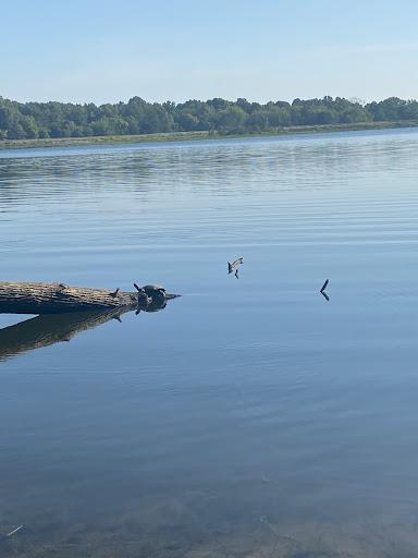 Sandee - Little Grassy Boat Dock / Little Grassy Lake