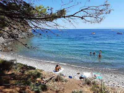 Sandee - La Forbice Beach