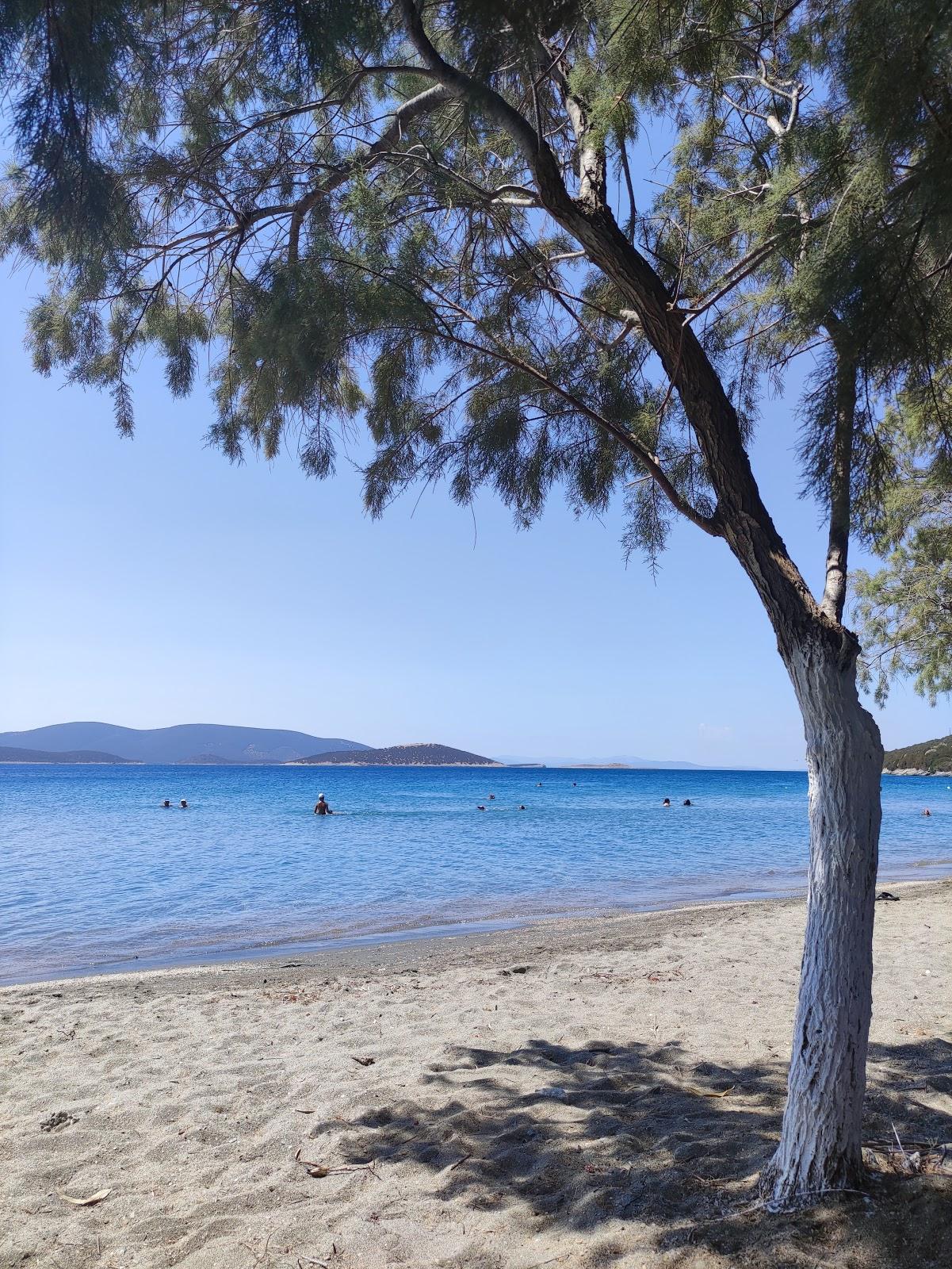 Sandee Fgia Beach