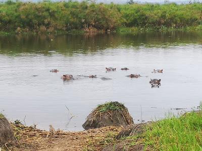 Sandee - Lake Rwanyakizinga