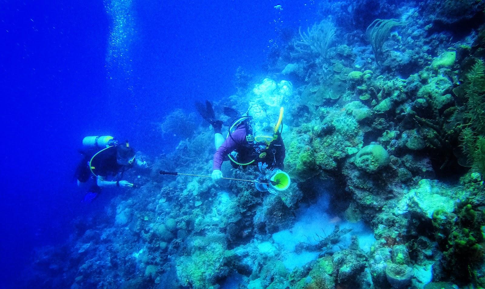Bonaire Photo - Sandee