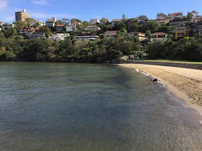 Sandee - Sirius Cove Beach