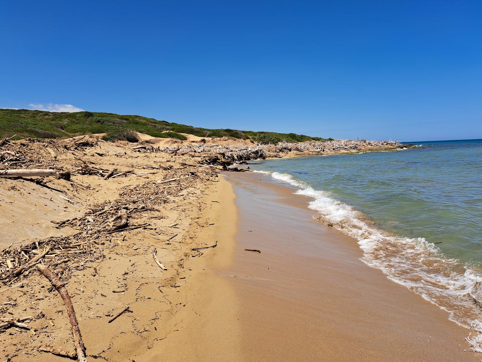 Sandee Spiaggia Marianelli Photo