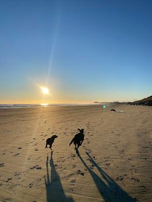 Sandee - Cambois North Beach