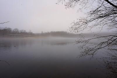 Sandee - Sheppard Pond Beach