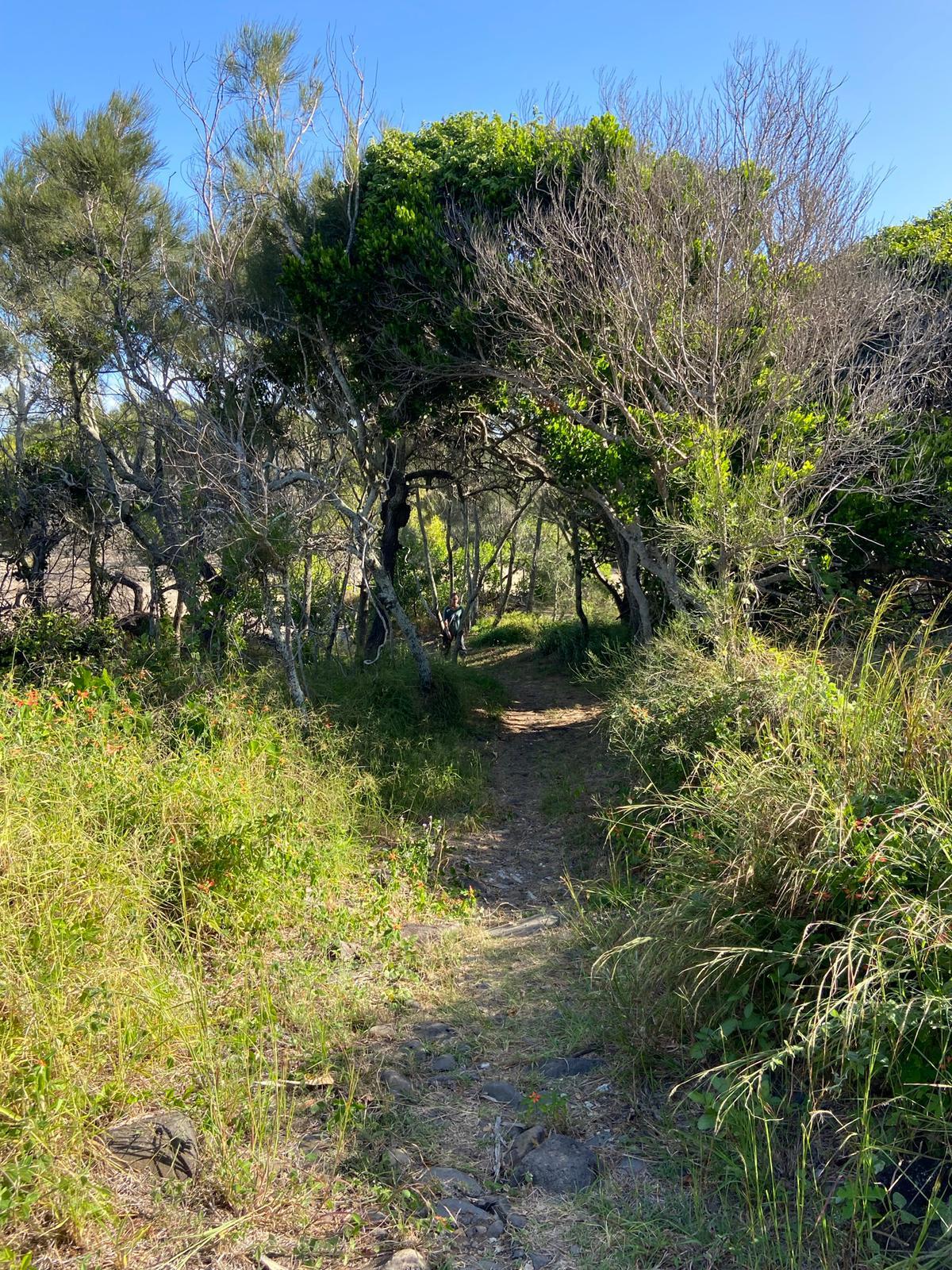 Sandee - HomePage / Bundaberg