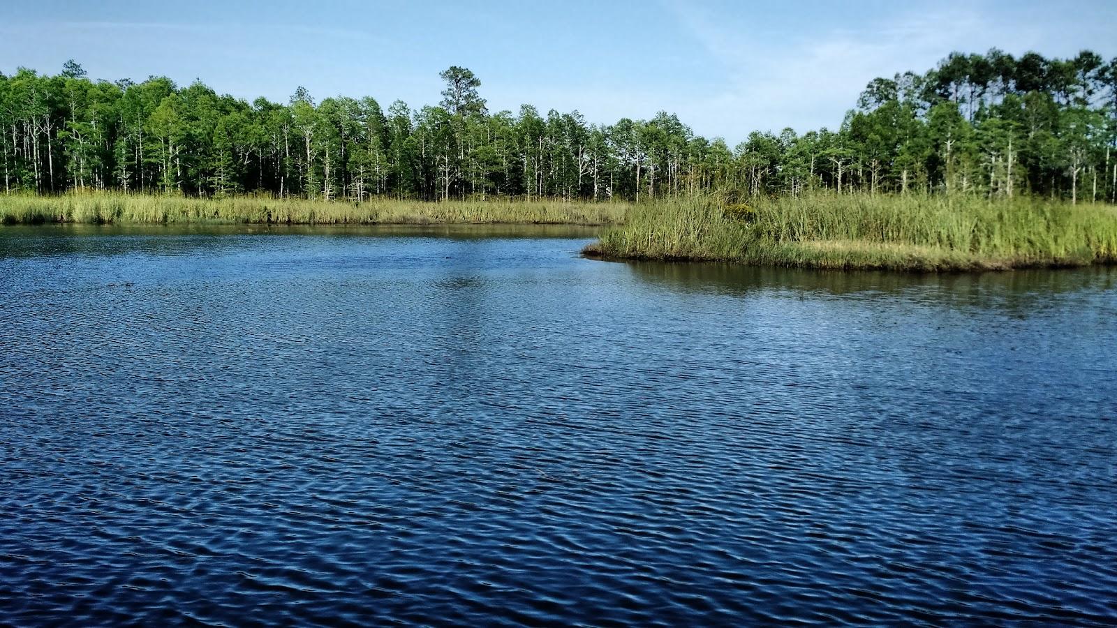 Sandee Grand Bay Wildlife Management