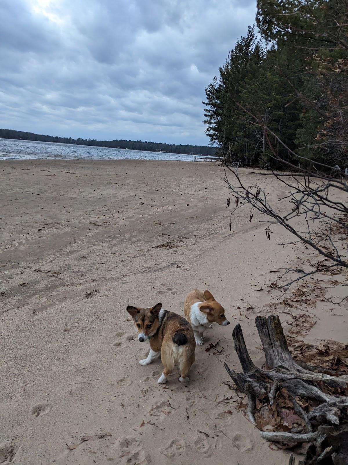 Sandee Little Star Beach Photo