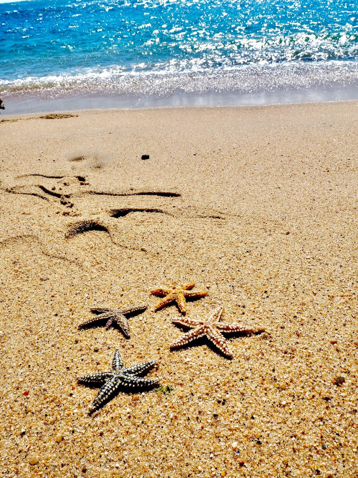 Sandee - Praia Da Aguda