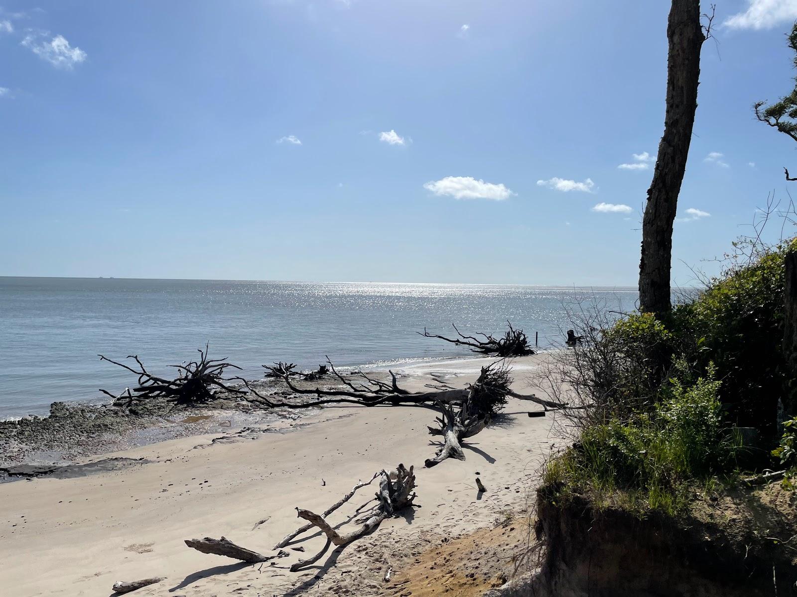 Sandee - Boneyard Beach