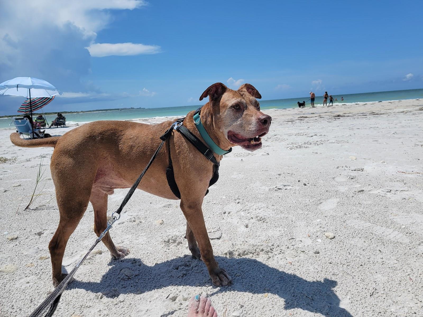 Sandee - Honeymoon Dog Beach