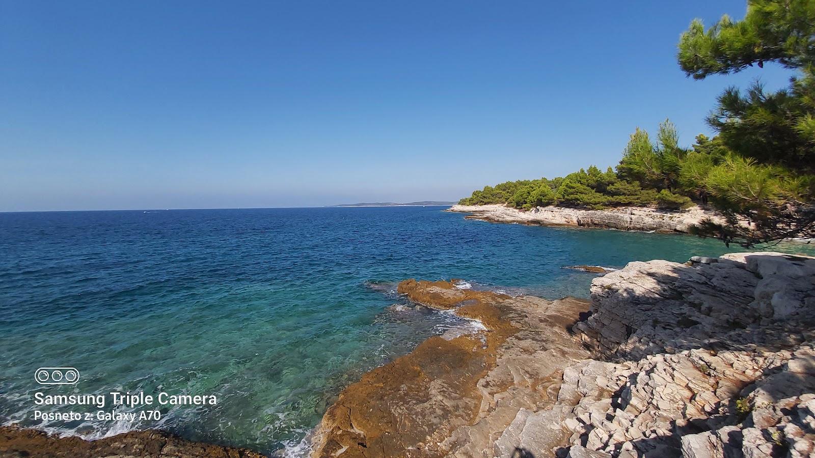 Sandee Beach Drazice