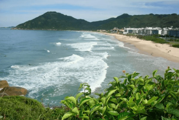 Sandee Playa Brava