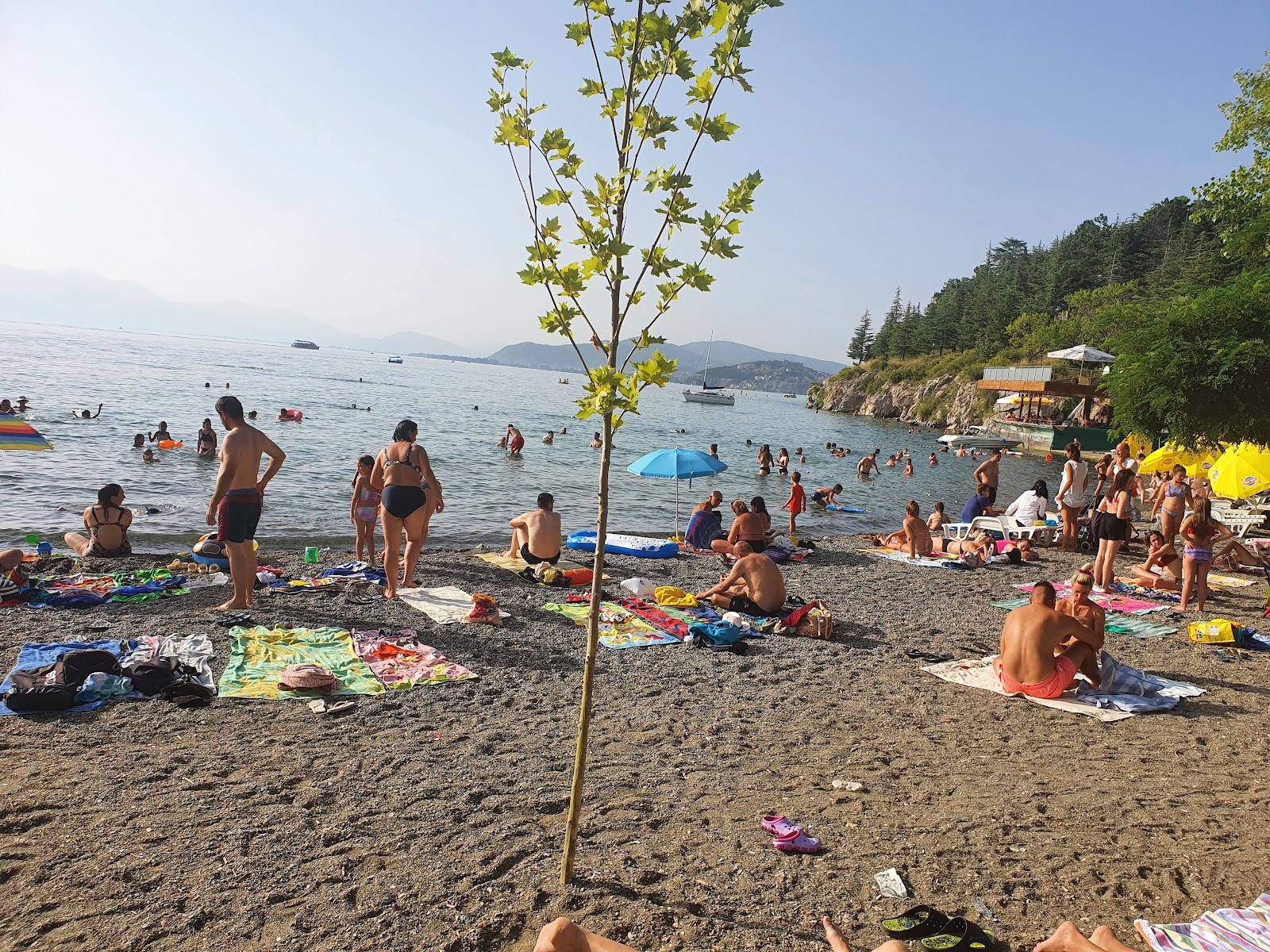 Sandee Gorica Beach