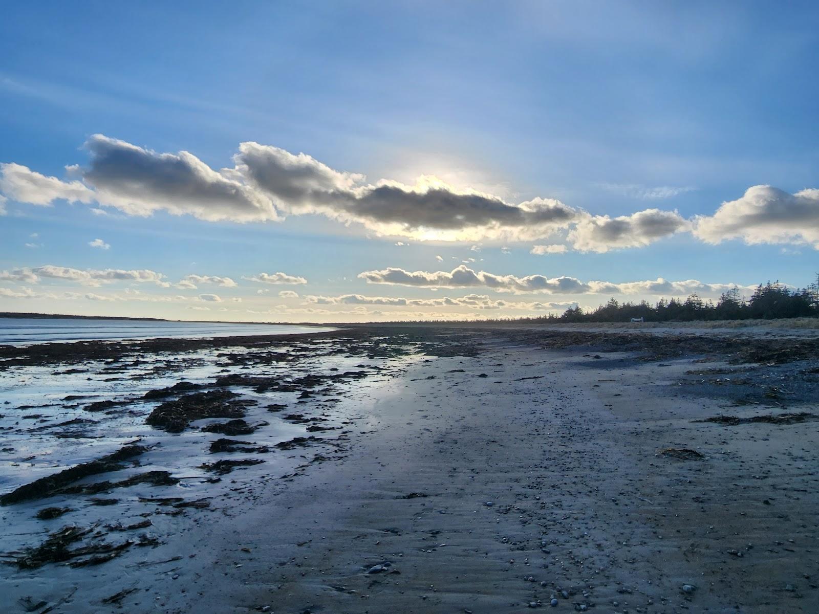 Sandee Point Michaud Beach Photo