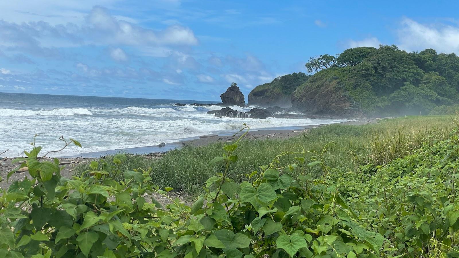 Sandee Main Nesting Beach