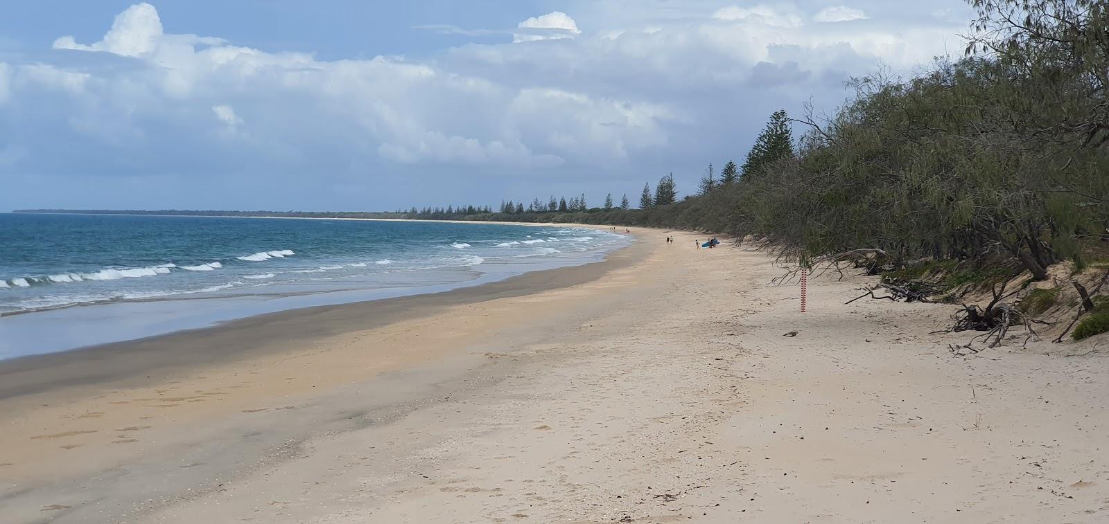 Sandee Woodgate Beach Photo