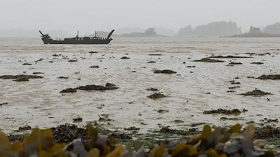 Sandee - Plage Dans L'Anse De Pellinec