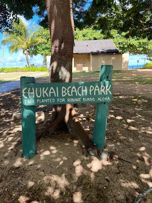 Sandee - Ehukai Beach Park