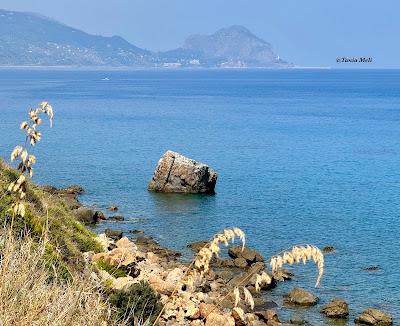 Sandee - Spiaggia Torre Conca