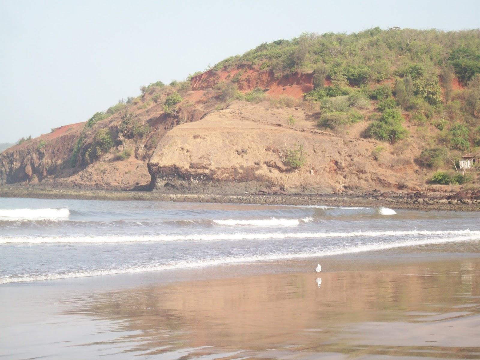 Sandee - Velneshwar Beach