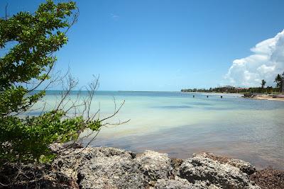 Sandee - Smathers Beach