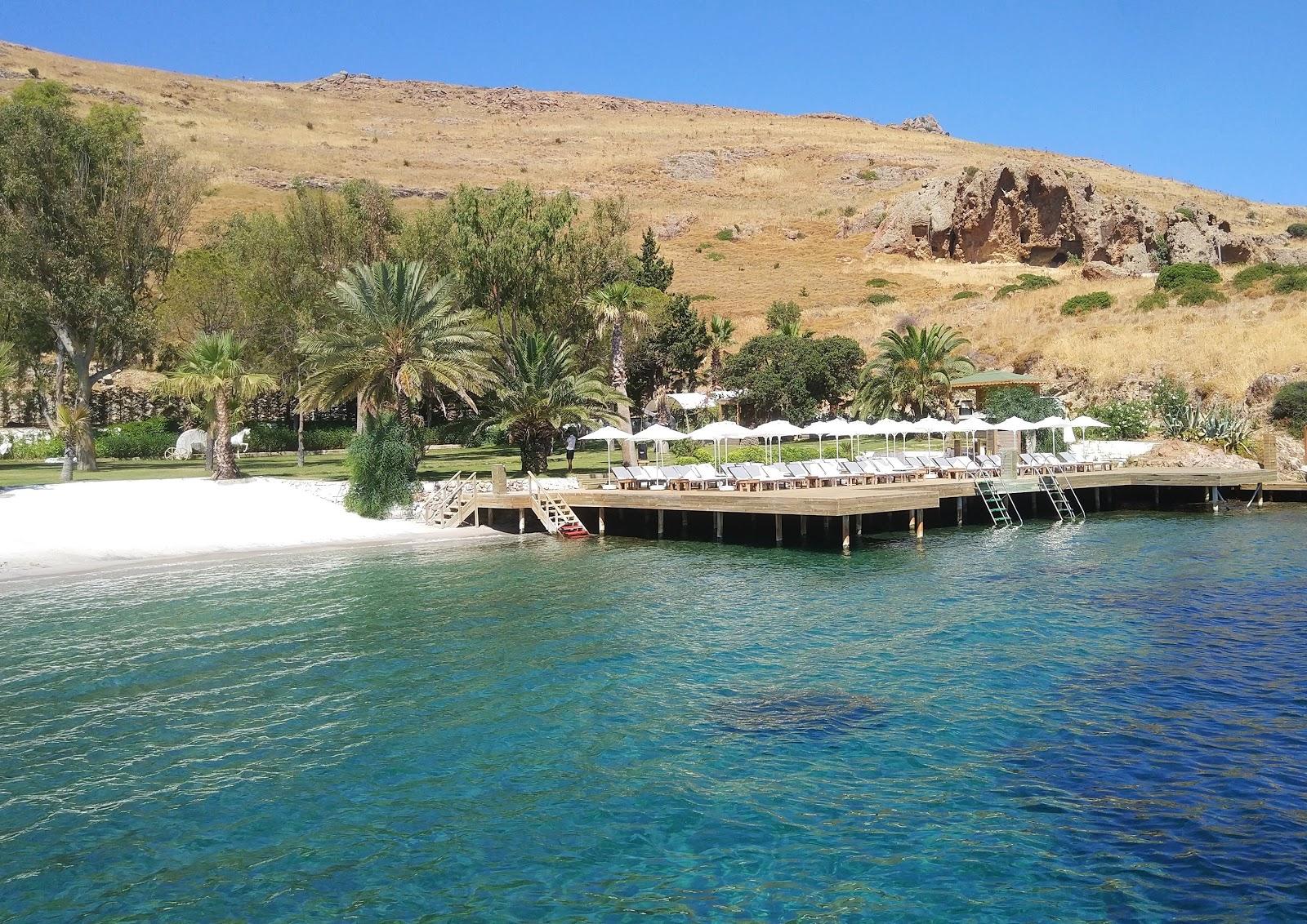 Sandee Dodo Beach