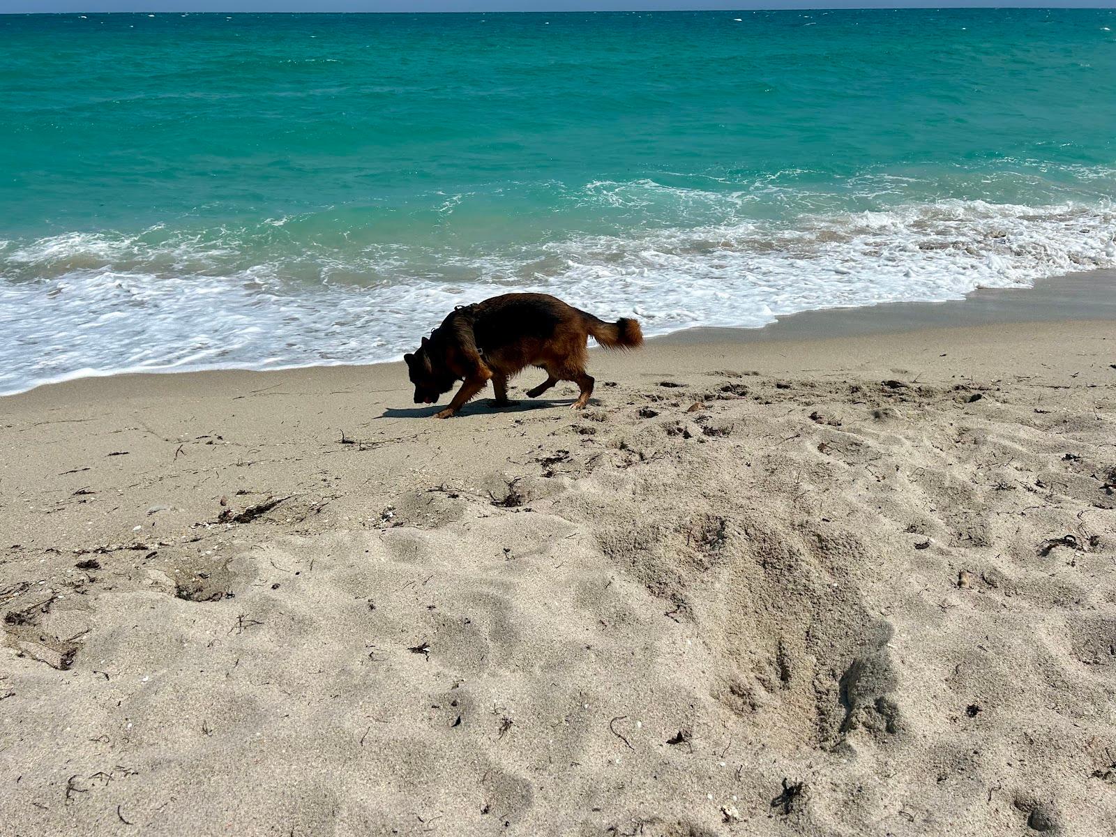 Sandee - Haulover Beach Dog Park