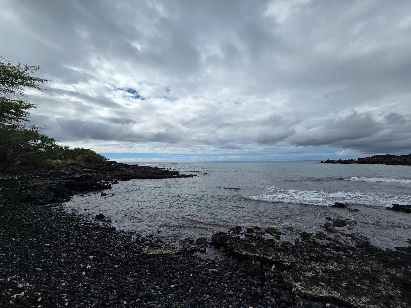 Sandee - Kanaio Beach