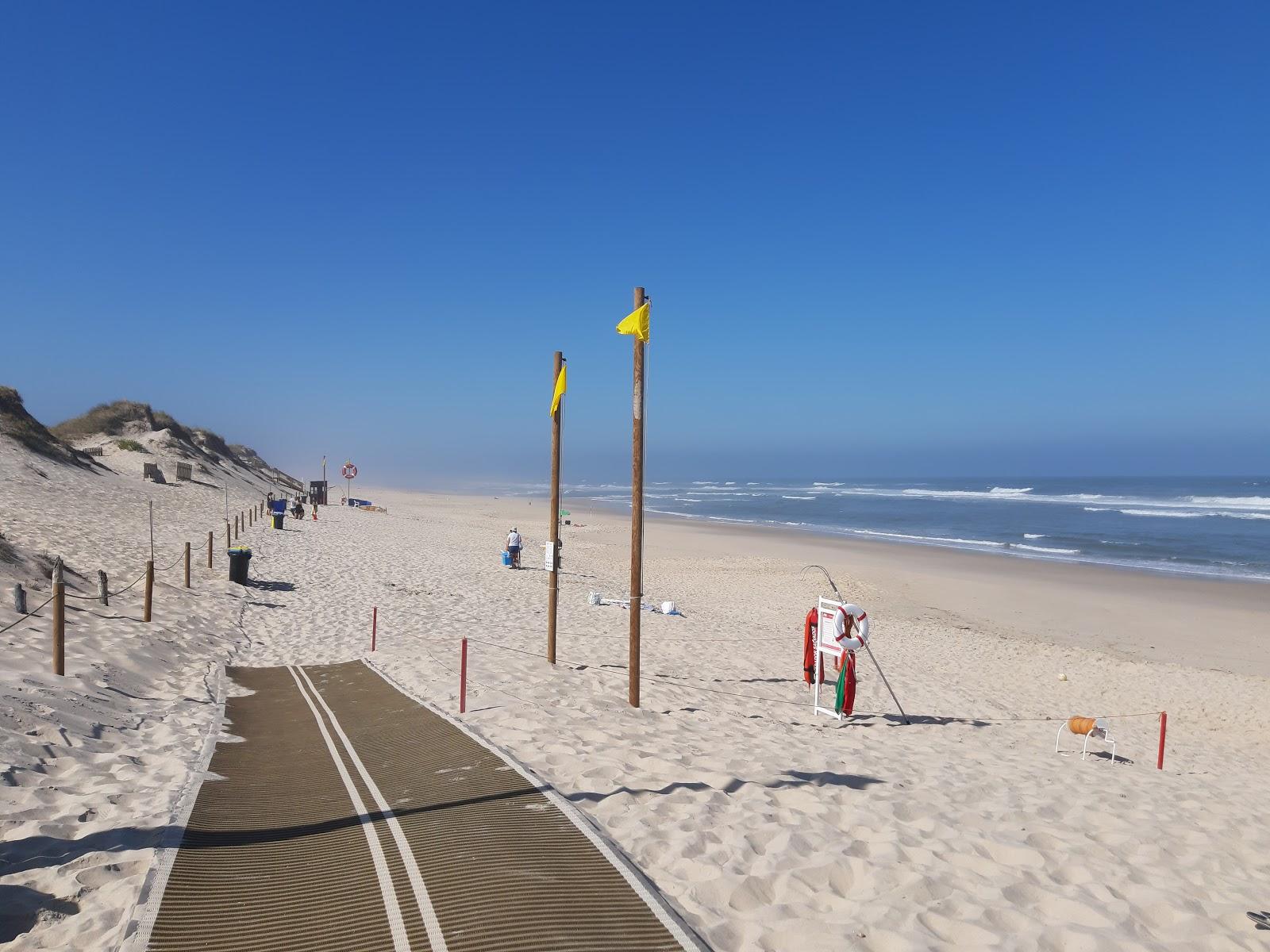 Sandee Praia Osso Da Baleia