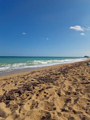 Sandee - Playa De La Caracola