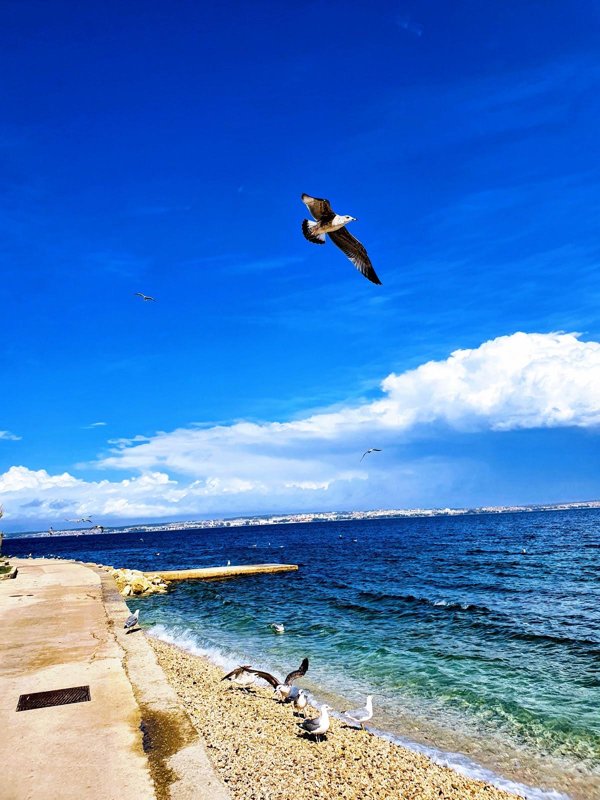 Sandee Beach Bilisce