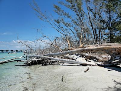 Sandee - Beer Can Island Beach