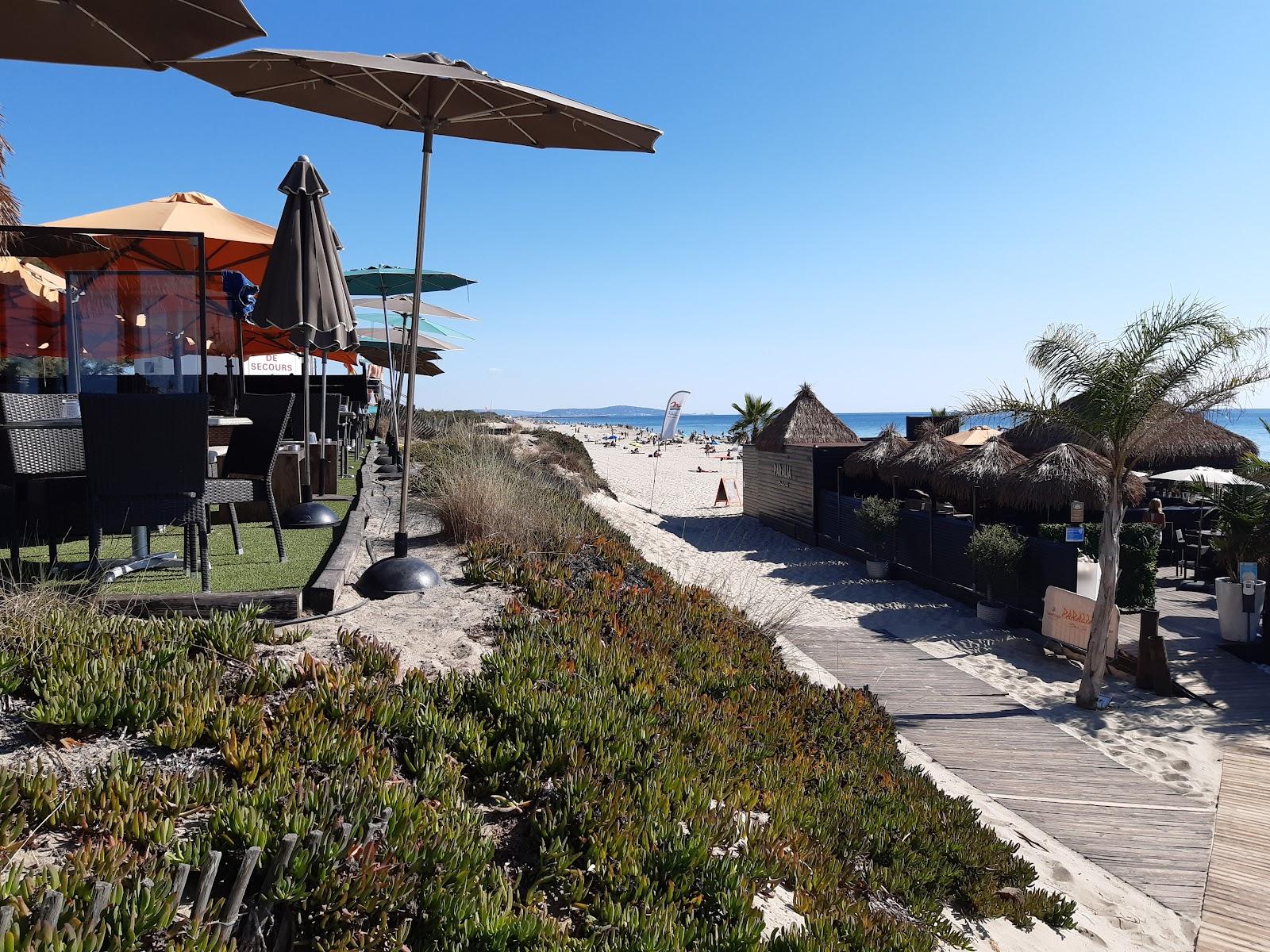 Sandee La Baie Des Cochons -Schweinchenstrand
