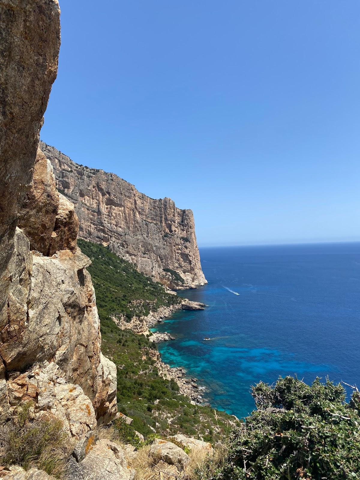 Sandee Cala Di Punta Del Pecoraro