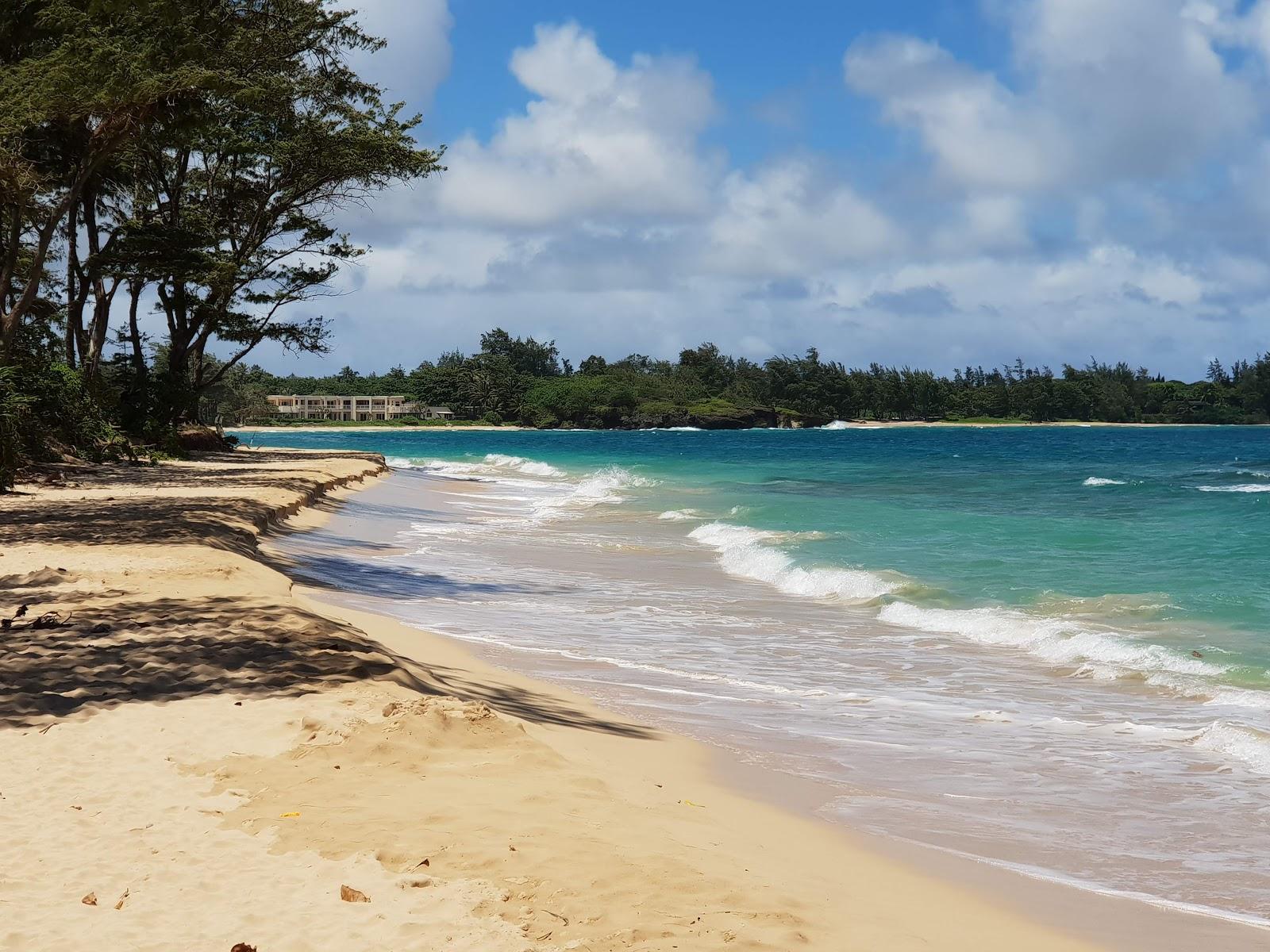 Sandee Kaipapau Beach Photo