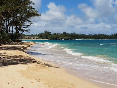 Sandee - Kaipapau Beach