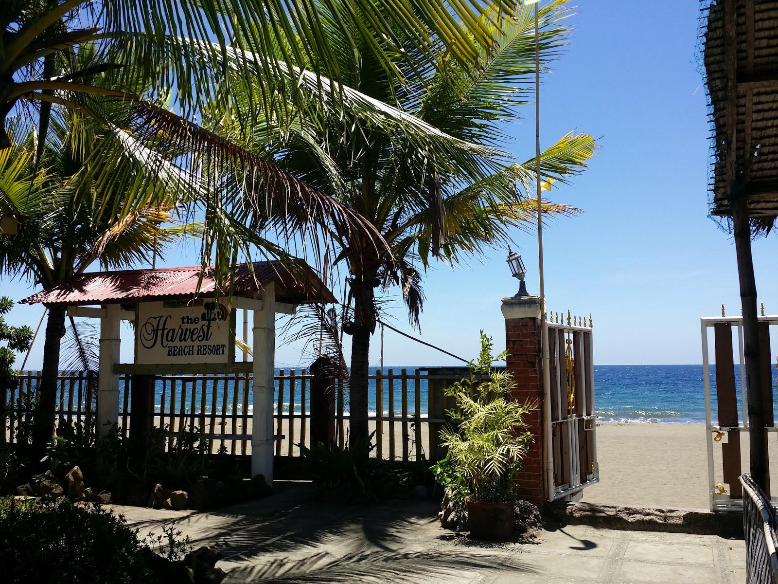 Sandee The Harvest Beach Resort