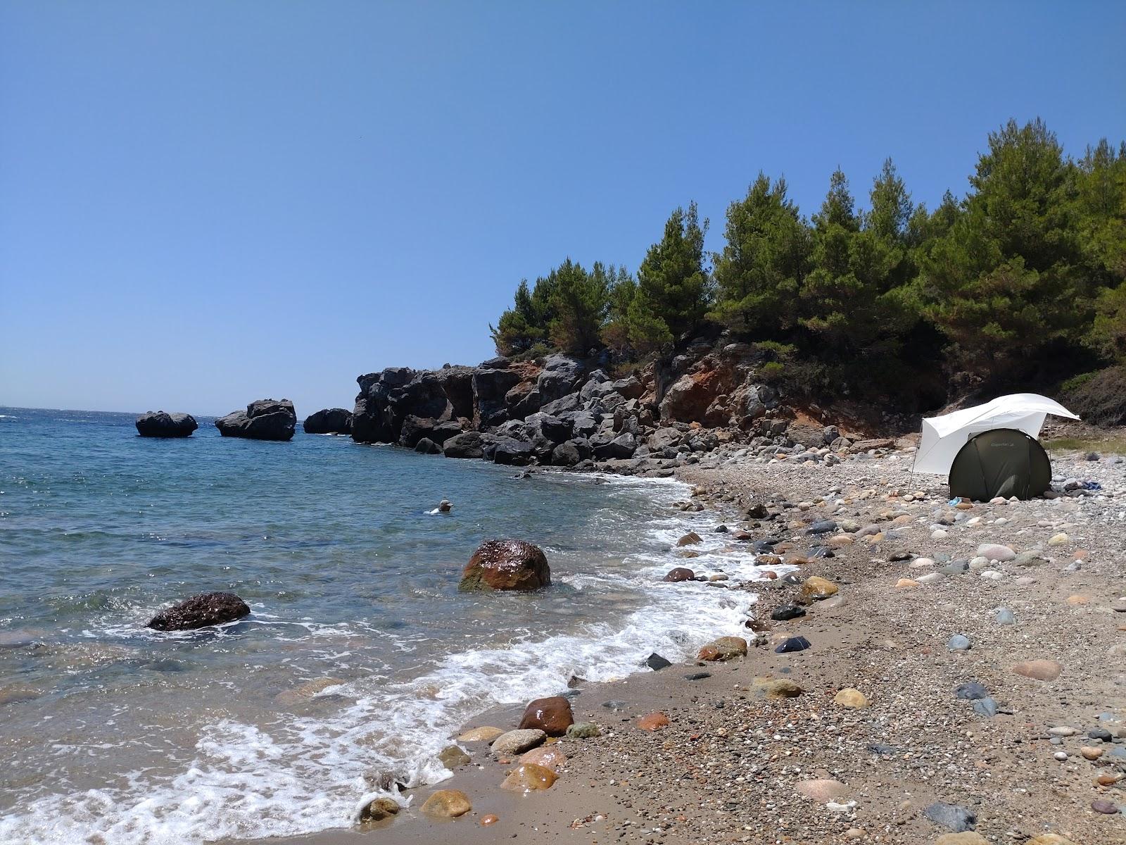 Sandee Ani Beach