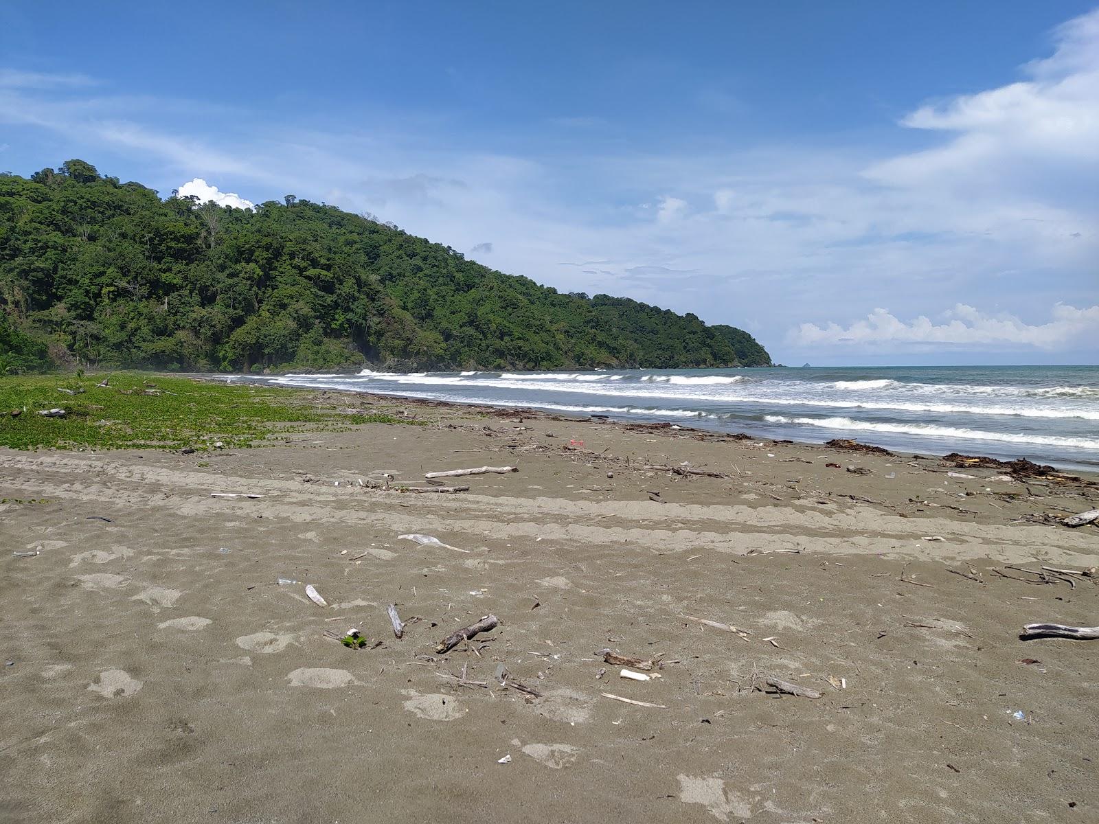 Sandee Playa La Playona