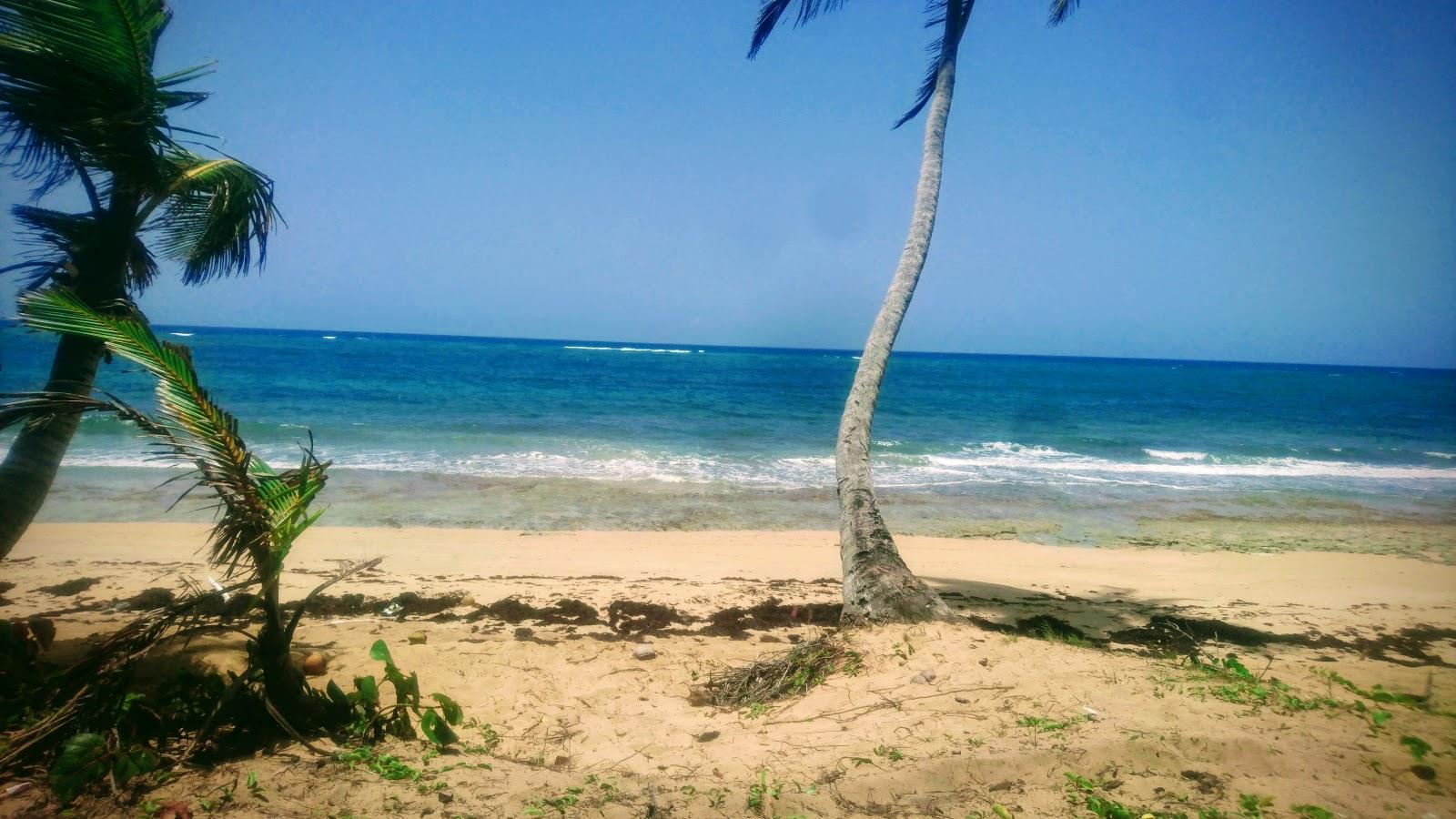 Sandee - Playa Sabana Nisibon