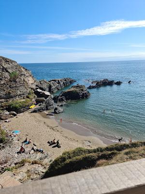 Sandee - Sharrow Point Beach