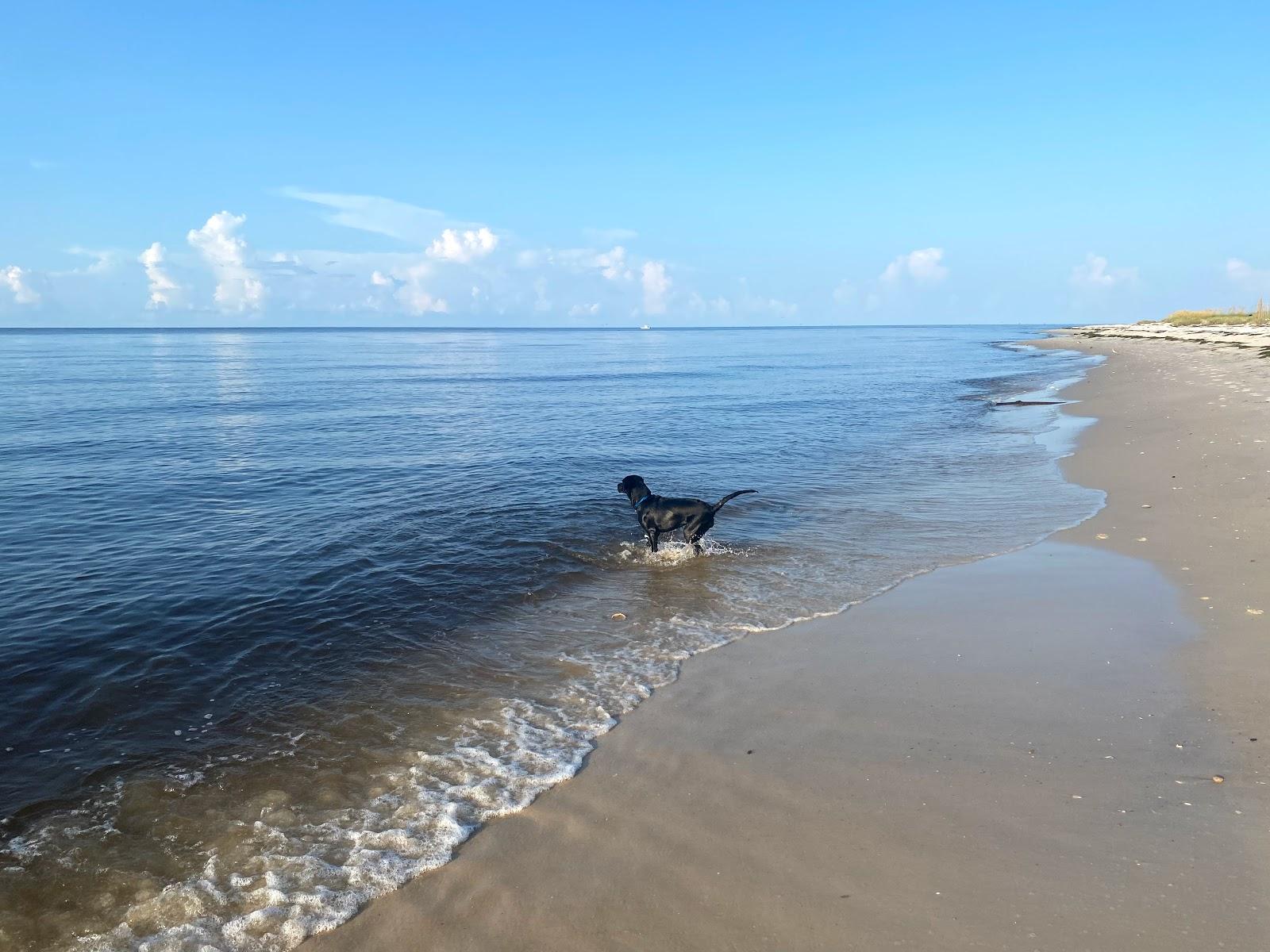 Sandee Alligator Point