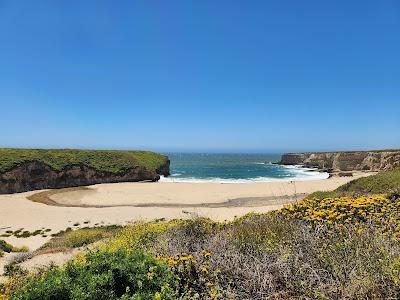 Sandee - Coast Dairies State Park - Davenport Pier Beach